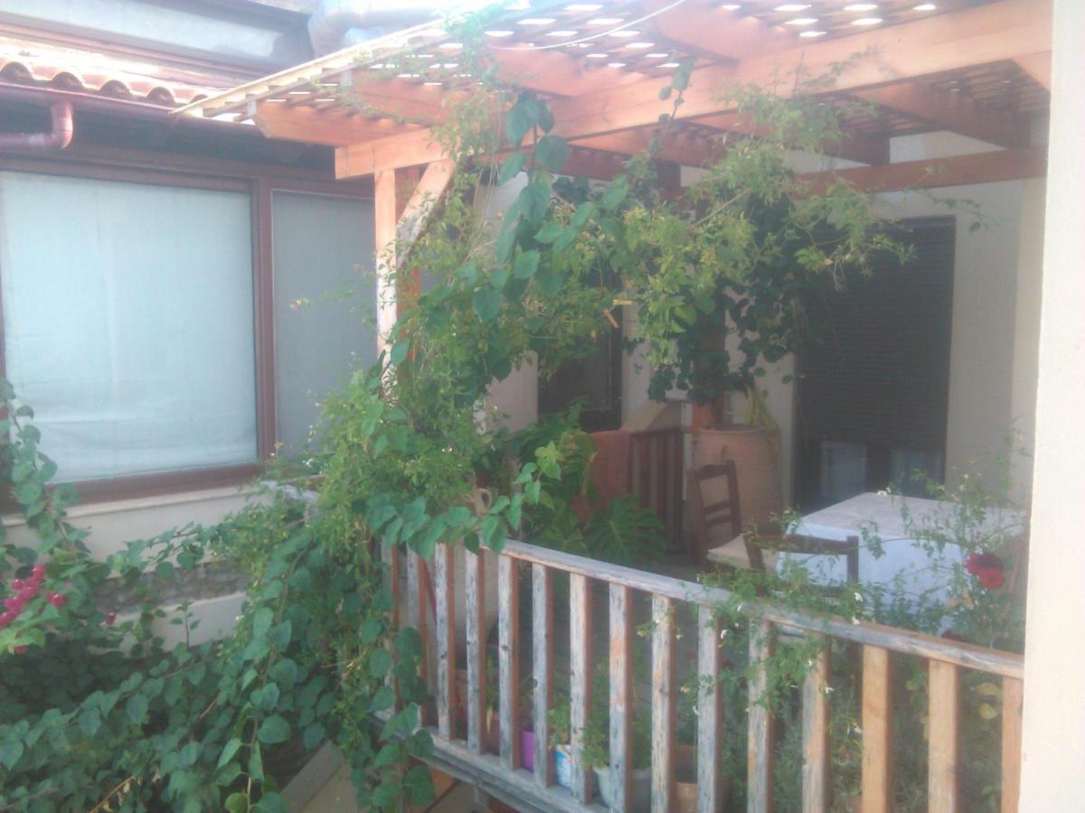 Cosy Country Villa Pappaygiannades エクステリア 写真